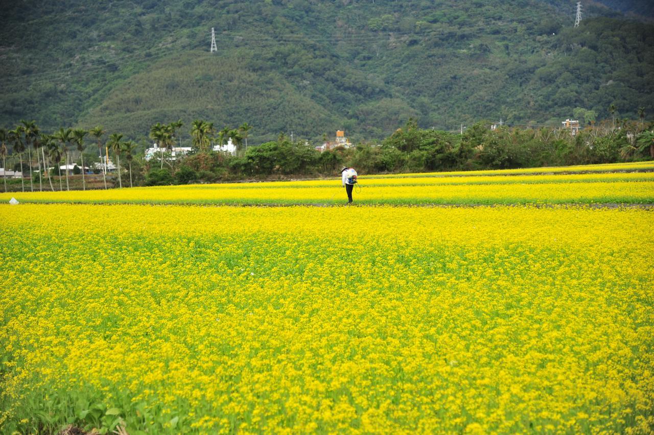 Guanshan Fukuda Homestay Eksteriør bilde